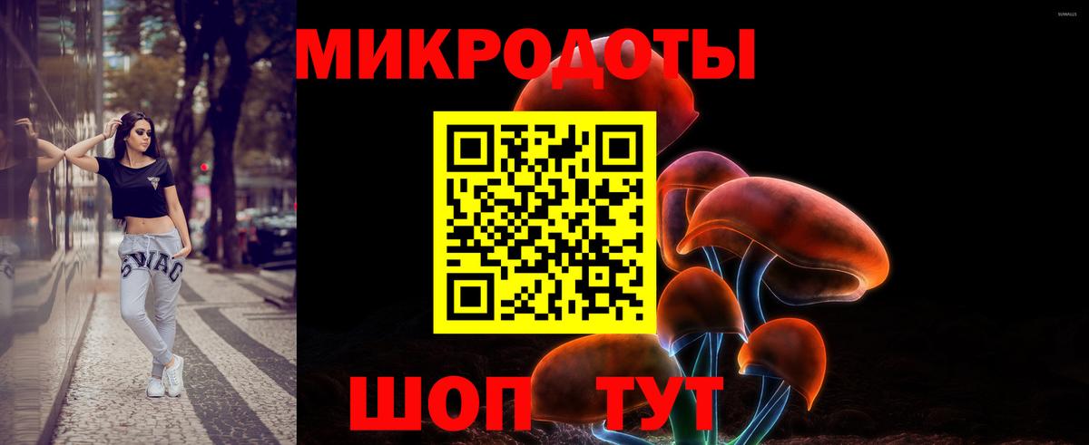 Псилоцибиновые грибы Magic Shrooms  Вход с VPN  как найти закладки  Щёлково 